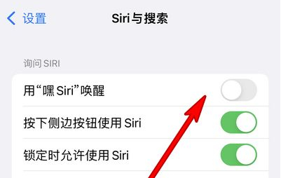 利国镇苹果13维修分享iPhone 13怎么唤醒 Siri  